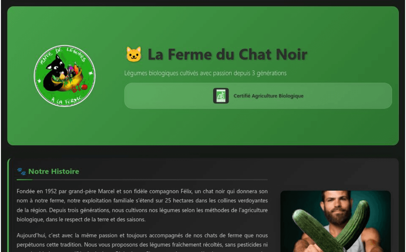 La ferme du chat noir